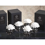 Spanish Dahlia Illuminaria Porcelain Diffuser in Gray Bottle