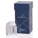White Rose Modena Porcelain Diffuser