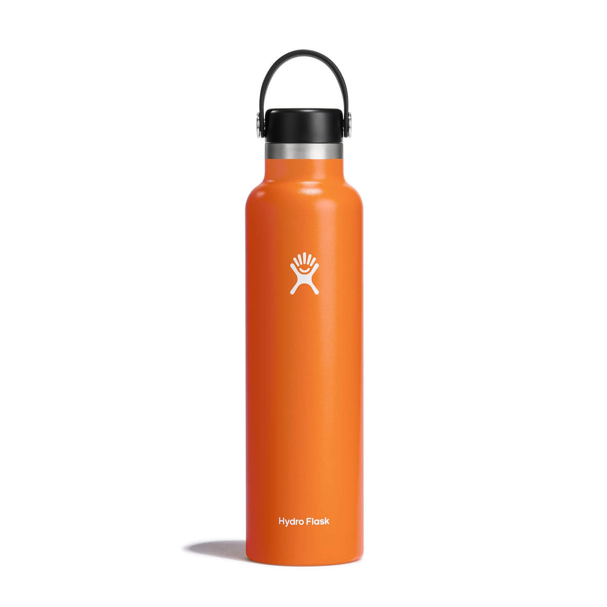 Hydro Flask 24 oz Standard Bottle with Flex Straw Cap - Mesa
