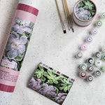 Adult Paint by Number Kit, Such a Succulent