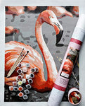Adult Paint by Number Kit,  Frannie Flamingo