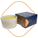 Trapp Fragrance 16oz 3- Wick Candle Collection