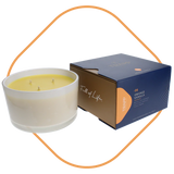 Trapp Fragrance 16oz 3- Wick Candle Collection