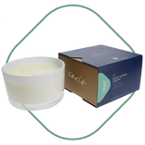 Trapp Fragrance 16oz 3- Wick Candle Collection