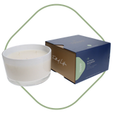 Trapp Fragrance 16oz 3- Wick Candle Collection