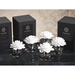 Tahitian Gardenia Illuminaria Porcelain Diffuser in Gray Bottle