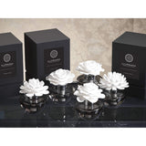 Tahitian Gardenia Illuminaria Porcelain Diffuser in Gray Bottle