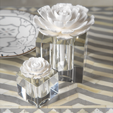 Fleur d'Oranger  Modena Large Diffuser Gift Set