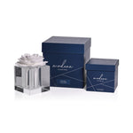 White Rose Modena Large Diffuser Gift Set