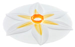 Daffodil Lid  White 9"