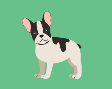 Kid Paint By Number, Frenchie French