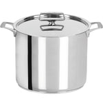 Castel' Pro Ultraply Stockpot 9.5"